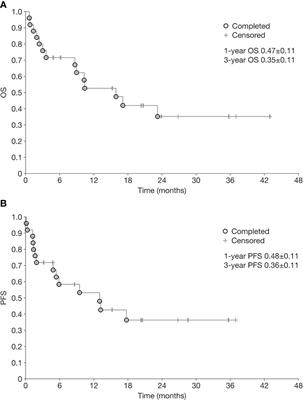 Dinutuximab beta combined with chemotherapy in patients with relapsed or refractory neuroblastoma